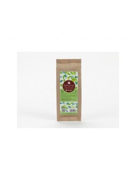 TE BANCHA ECO MIMASA