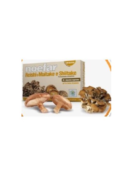 Reishi, Maitake y Shiitake Noefar