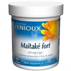Maitake Fort Fenioux
