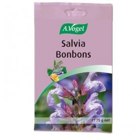 Salvia Bombons A. Vogel
