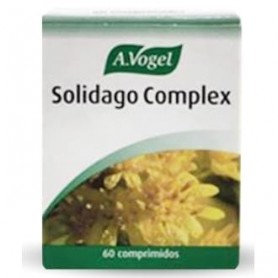 Solidago Complex A. Vogel