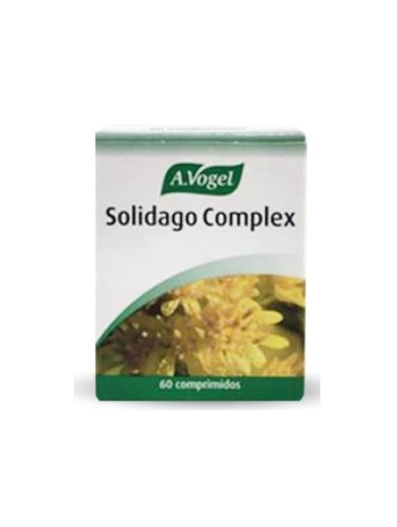 Solidago Complex A. Vogel