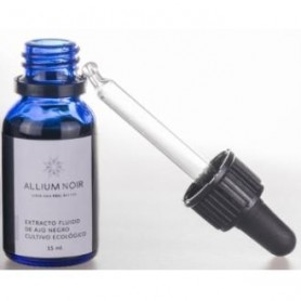 Allium Noir Efcan