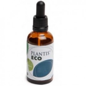 Extracto de Echinacea Eco Artesania