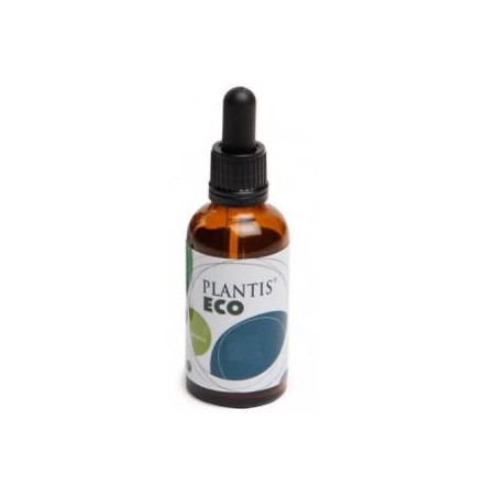 Extracto de Echinacea Eco Artesania
