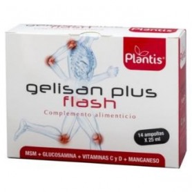 Gelisan Plus Flash Artesania