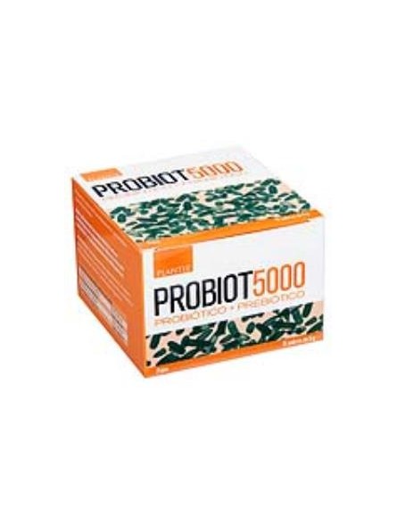 Probiot 5000 Artisanat