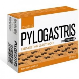Pylogastris Artesania