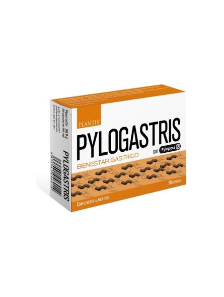 Pylogastris Artesania