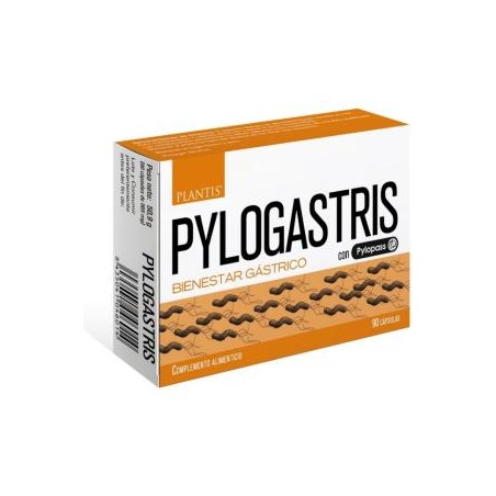 Pylogastris Artesania