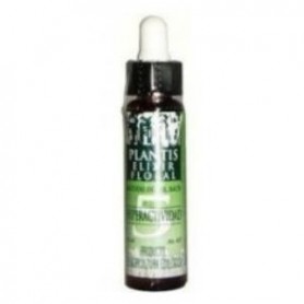 Remedio Plantis Nº5 Hiperactividad Bio Artesania