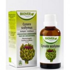 Extracto Cynara Scolymus (alcachofa) Biover