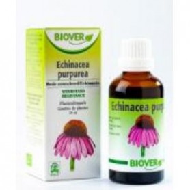 Extracto de Echinacea Purpurea Biover