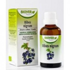 Extracto Ribes Nigrum (grosellero negro) Biover
