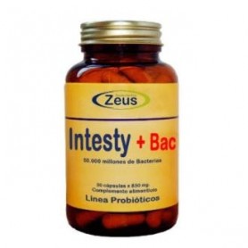 Intesty + Bac Zeus