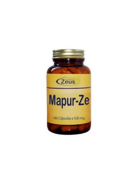 Mapur-Ze Zeus