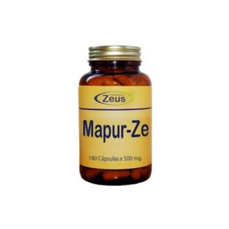 Mapur-Ze Zeus