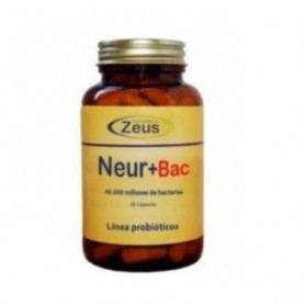 Neur + Bac Zeus