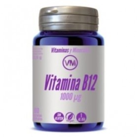 Vitamina B12 1000µg Ynsadiet