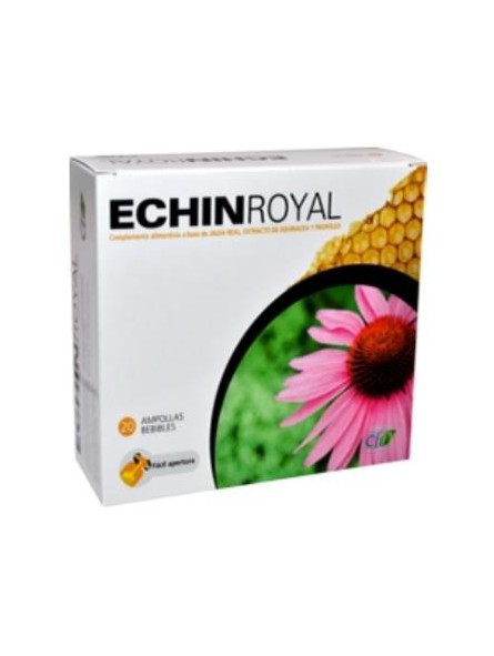 Echin Royal CFN
