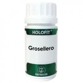 Holofit Grosellero Equisalud
