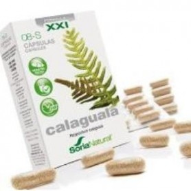 Calaguala XXI S8 Soria Natural