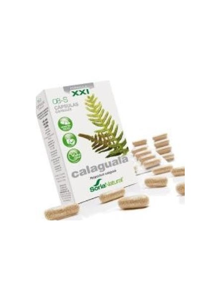 Calaguala XXI S8 Soria Natural