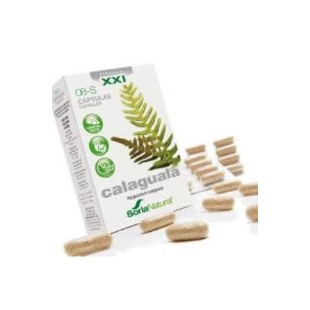 Calaguala XXI S8 Soria Natural