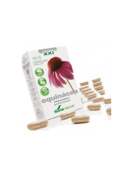 Echinacea XXI S16 Soria Natural
