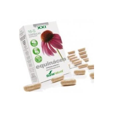 Echinacea XXI S16 Soria Natural