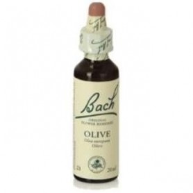 Flor de Bach Olive - Olivo 20 ml