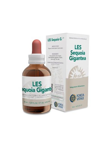 Les Sequoia Gigantea Forza Vitale