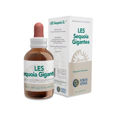 Les Sequoia Gigantea Forza Vitale