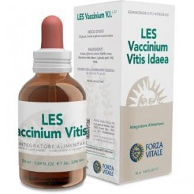 Les Vaccinium Vitis Idaea Forza Vitale