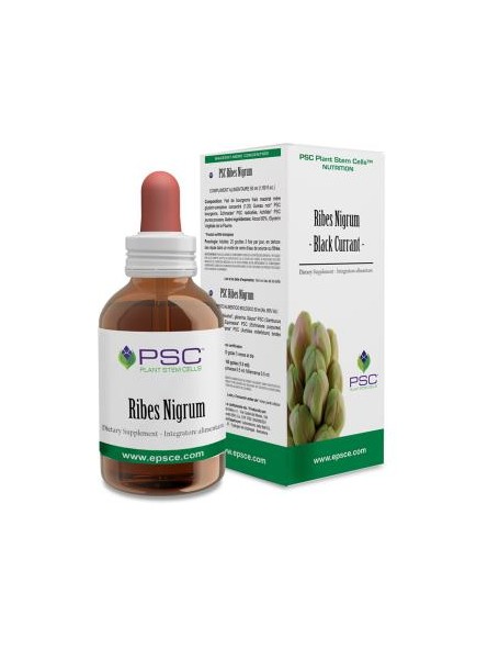 PSC Ribes Nigrum Forza Vitale