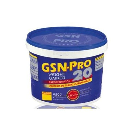 GSN Pro 20