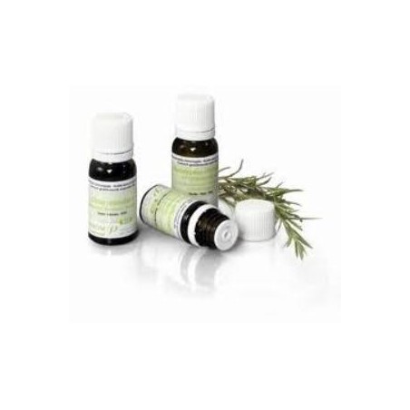 Aceite Esencial de Citronela de Java Bio Pranarom