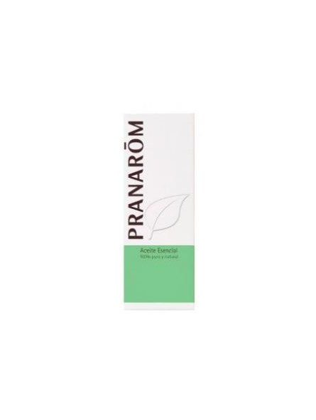 Aceite Esencial de Hierba Lombriguera Pranarom