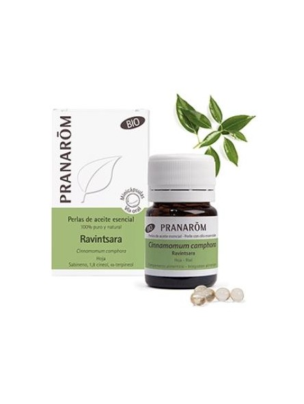 Ravintsara aceite esencial en perlas Pranarom