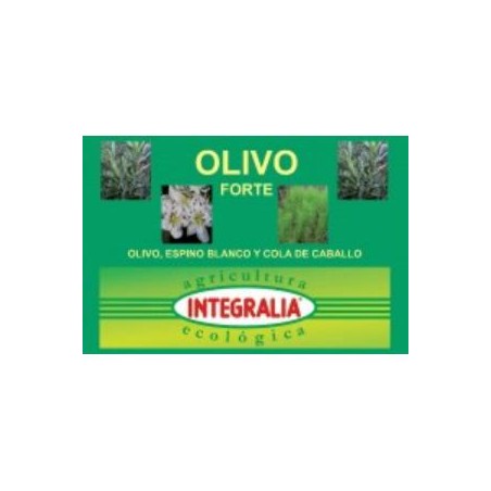 Olivo Forte Eco Integralia