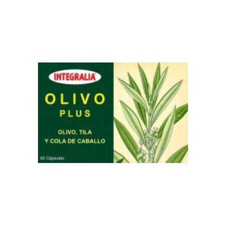 Olivo Plus Integralia