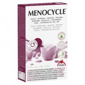 Menocycle Intersa