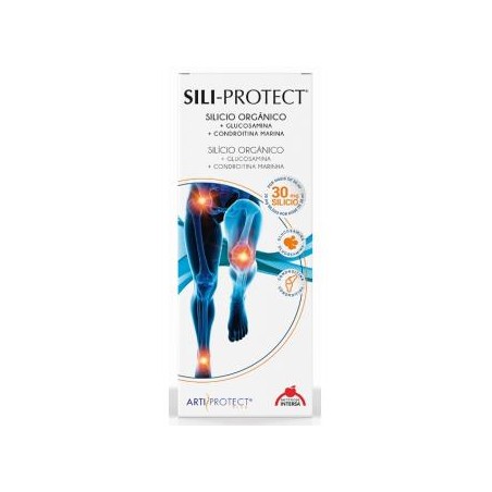 Sili-Protect Intersa
