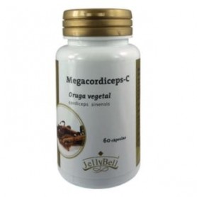 Megacordiceps C (oruga vegetal) Jellybell