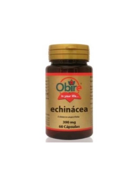 Echinacea Obire