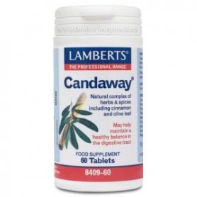 Candaway Lamberts