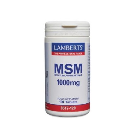 MSM Lamberts