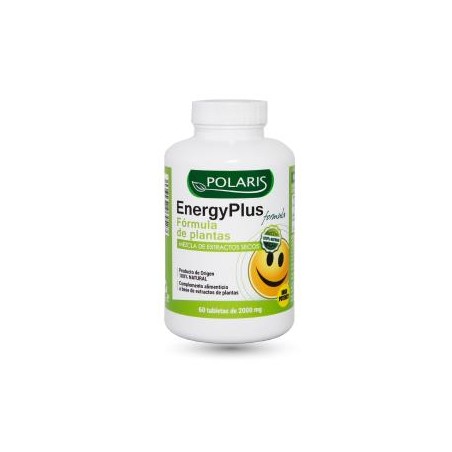 Energy Plus Polaris