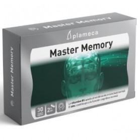 Master Memory Plameca