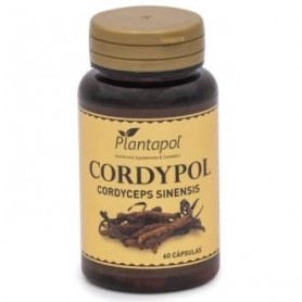 Cordypol cordyceps y vitamina c Plantapol